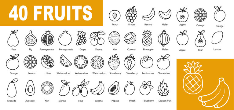 line fruitFruit Outline Icons Pack &ndash; 40 Fresh Fruit Vector Symbols in Minimal Line Styles 1