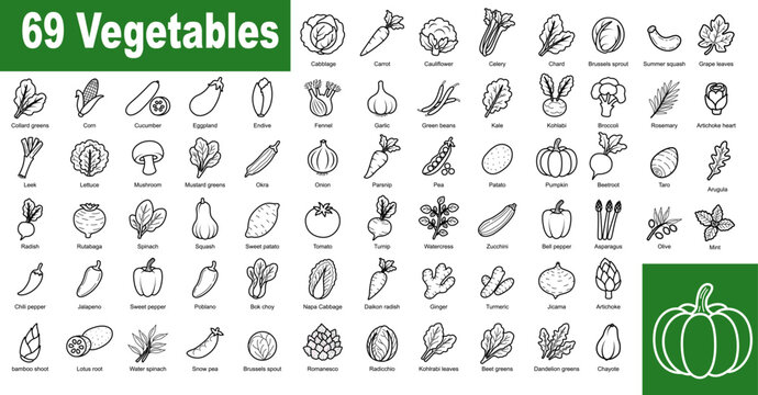 Vegetable Icons Collection