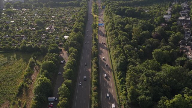 Frankfurt freeway showing car driving through green suburban residential area with allotment gardens and lush forests during golden hour on Miquelallee street