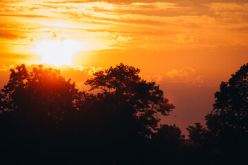 Fototapeta premium Golden hour sun setting behind silhouetted trees