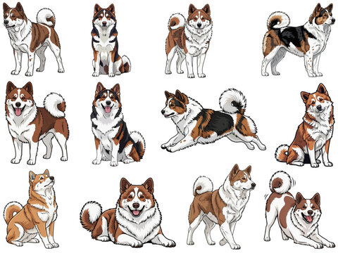 Thai Bangkaew Dog 12 profile poses bundle pack vector illustration