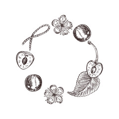 Fototapeta premium A wreath of cherries, cherry blossoms, leaves, ribbons, all hand-painted in ink. Berry vector composition for the menu, labels, invitations and branding of the restaurant. Vector illustration.