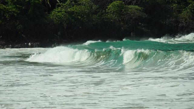 Turquoise waves rolling toward shore with tropical vegetation in the background