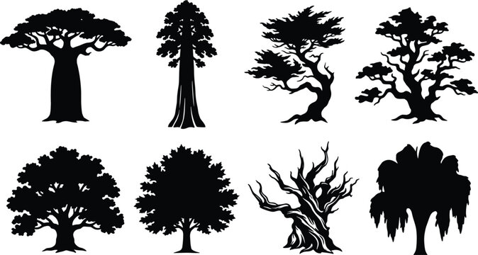 Famous world tree silhouettes set isolated on white background featuring baobab sequoia bonsai and cypress shapes