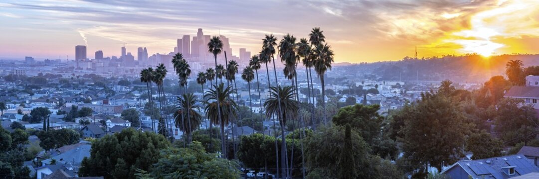 Los Angeles skyline with palm trees and downtown panorama at sunset in California in Los Angeles, USA