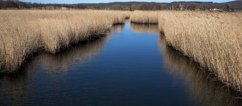 Landscape at Lake Neuensien on the island of R&uuml;gen, Mecklenburg-Western Pomerania, Germany