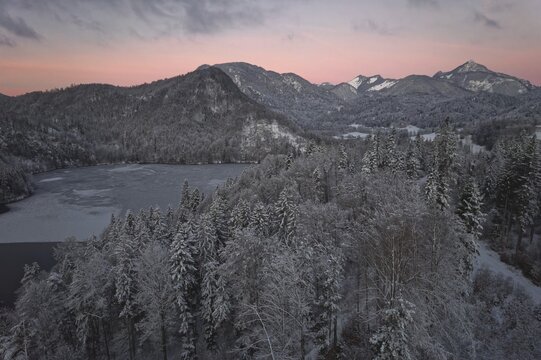 Pike lake, winter, icy, snow-covered trees, reddish coloured sky, morning mood, Mangfallgebirge with Br&uuml;nnstein, Steilner Joch, Unterbergjoch, drone shot, Kufstein, Tyrol, Austria