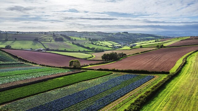 Fields and Farms at evening sun from a drone, Shaldon, Torquay, Devon, England, United Kingdom