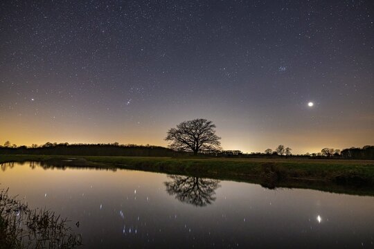 Oak (Quercus) on the river Hunte at night with stars, in the sky, darkness, Colnrade, Lower Saxony, GermanyGermany