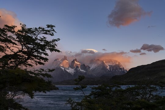 Cuernos del Paine at sunrise with pink clouds, Lake Peho&eacute; in the foreground, framed by southern beech trees, Torres del Paine National Park, Patagonia, Chile