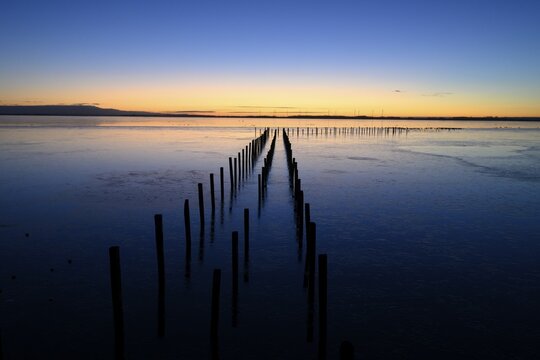 Wooden posts, boat dock posts run into water at sunset, quiet atmosphere, D&uuml;mmer See, Lembruch, Lower Saxony, Germany