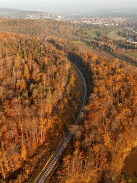 Aerial view of a forest in autumn with tracks and a town visible on the horizon, Hermann Hesse Bahn, Weil der Stadt. Germany