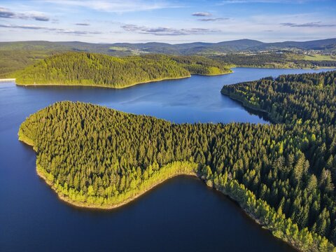 Aerial view, drone photo: spruce forest and beech trees at the Eibenstock drinking water reservoir, Ore Mountains, Saxony, Germany