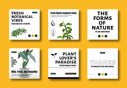 Fresh Botanical Social Media Post Template Set Design