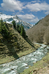 Obraz premium Snowy mountains overlook a fast-flowing river winding through grassy hillsides