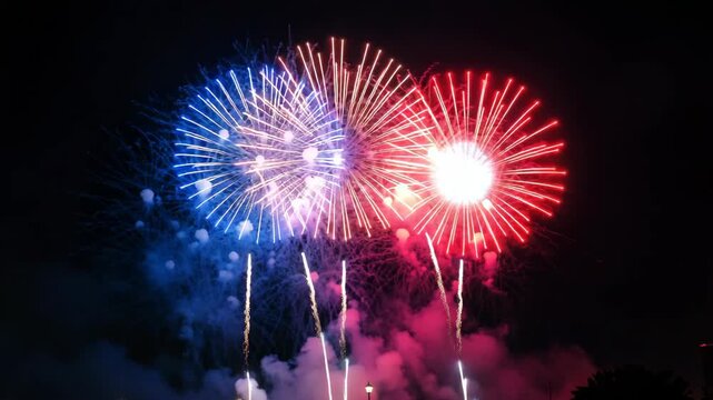 Colorful fireworks exploding overhead against dark night sky.
