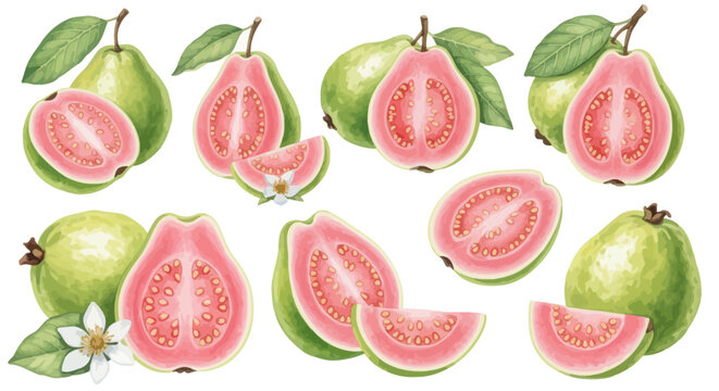 Pink guava fruit collection with whole pieces and juicy slices