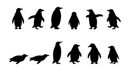 Obraz premium Penguin Silhouettes Collection: Diverse Poses Vector Set, Black and White Wildlife Icons