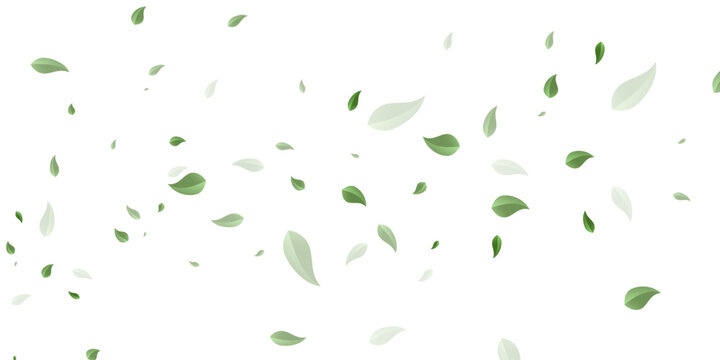 Green Flying Leaves on Long White Banner for Organic Cosmetic Advertising, Eco Beauty Product Promotion and Natural Wellness Design