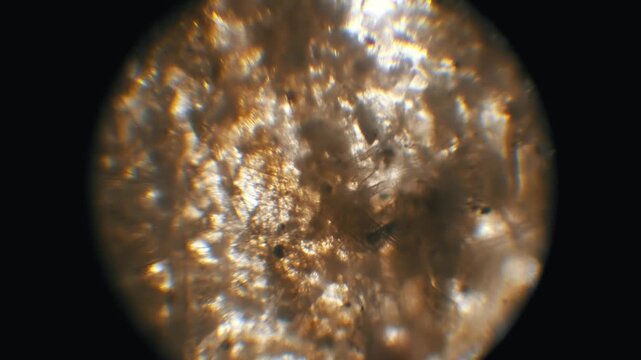 Microscopic view of brown cellulose fibers from toilet paper pulp. The interwoven structure is seen with a focus pull for scientific research or biology analysis.