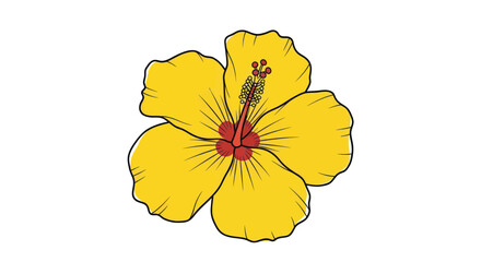 Yellow hibiscus blossom with red stamen detail © mimis
