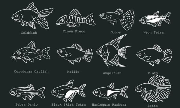 Hand Drawn Tropical Aquarium Fish Collection in Chalk Sketch Style on Black Background