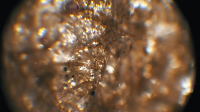 Extreme close-up of paper fibers and pulp structure under a microscope. Brown and golden tones with light refractions offer an abstract view for organic analysis.