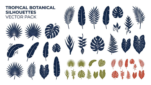 Vector set of diverse tropical leaf silhouettes including palm and monstera elements