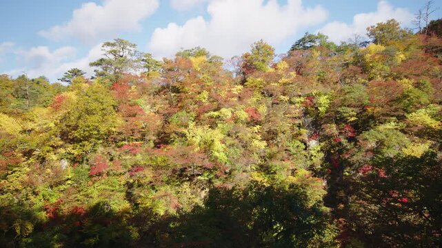 紅葉の名所 秋の鳴子峡の風景　Autumn scenery of Naruko Gorge, a famous spot for autumn foliage.