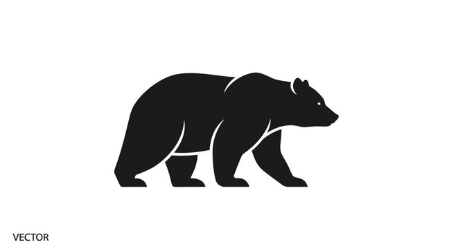 Black bear walking profile view.