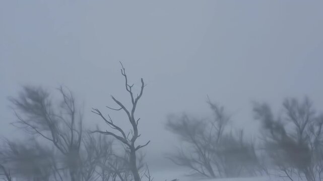 Blizzard snow extreme wind blowing horizontal loop, wind-driven snow flying as white streaks through frame, powerful elemental winter footage, dramatic winter storm b-roll for weather brand content.