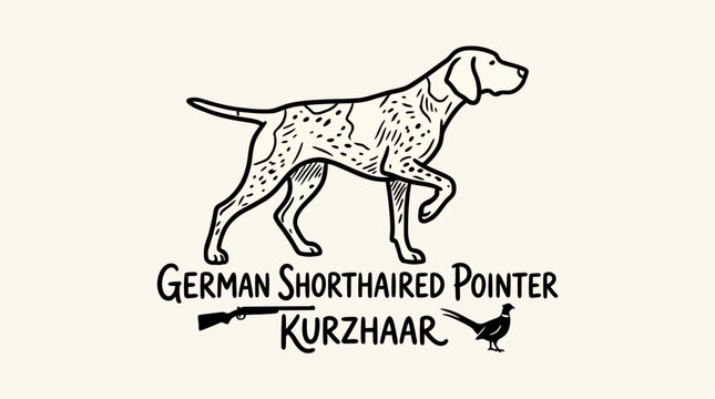 Minimalist profile of a German Shorthaired Pointer dog, sleek black vector silhouette, Kurzhaar hunting canine logo icon, pedigreed sporting animal emblem, isolated on white background.