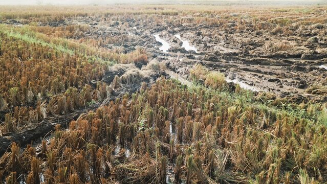 Aerial view of a parched landscape with dry, brown vegetation and a meandering stream, illustrating the effects
