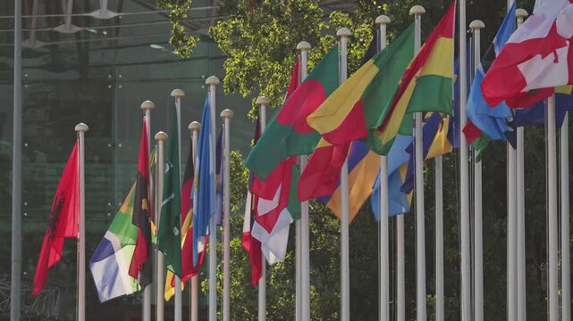 Flags from different countries waving in the wind at an outdoor location in the afternoon