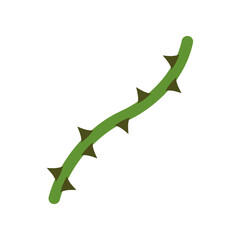 A green thorny vine branch isolated on a white background © indah