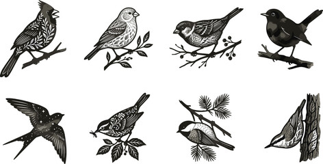 Black and White Songbird Collection Featuring Cardinal Sparrow Robin Swallow Chickadee Perched Birds Vintage Wildlife Illustrations Set © SHAMIM