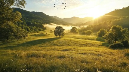Fototapeta premium Golden spring sunrise illuminates rolling hills covered in mist with a lone tree casting a shadow