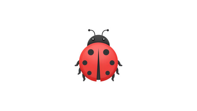 Cute red ladybug with black spots on a clean background