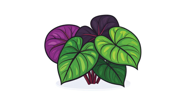 Colorful Colocasia Elephant Ear Leaves.