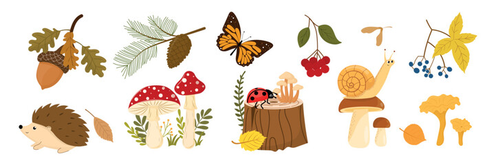 Autumn forest vector set, cute woodland animals and autumn mushrooms collection. Hedgehog, snail, ladybug and butterfly isolated illustration. © Nadiia