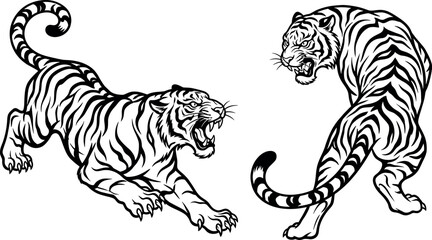 Two aggressive tigers fighting, black and white vector illustration of wild cats in dynamic poses © SampaRani