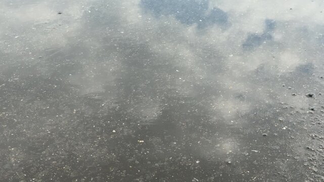 Rain Ripples on Reflected Sky and Clouds in Wet Pavement Background

