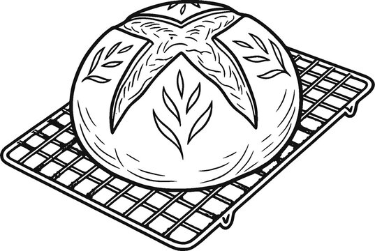 Sourdough boule on wire cooling rack hand drawn black and white line art illustration