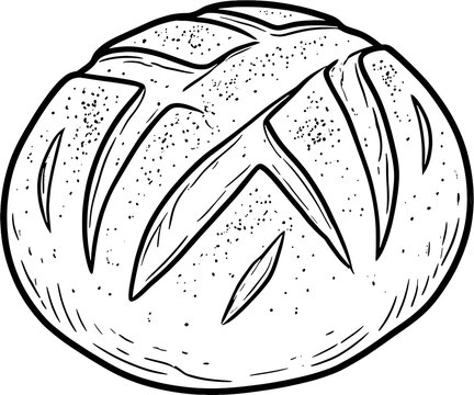 Cross scored sourdough boule hand drawn black and white line art illustration