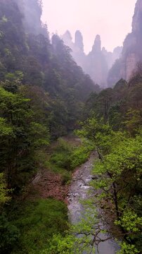 Vertical Cinematic Drone Footage of Avatar Mountains River&ndash; Misty Peaks and Epic Natural Landscape