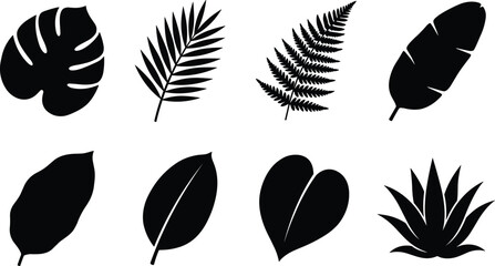 Set of black silhouette tropical plant leaf vector icons featuring monstera fern palm frond banana leaf and agave for botanical graphic design © Rina