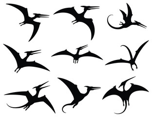 Pterosaur silhouettes on a white background prehistoric reptile shapes © MDHASAN
