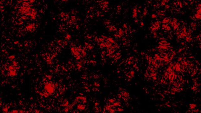 Grunge texture with dark red abstract blotches and chaotic stains. Suitable for horrorthemed designs, halloween decorations, or spooky backgrounds.