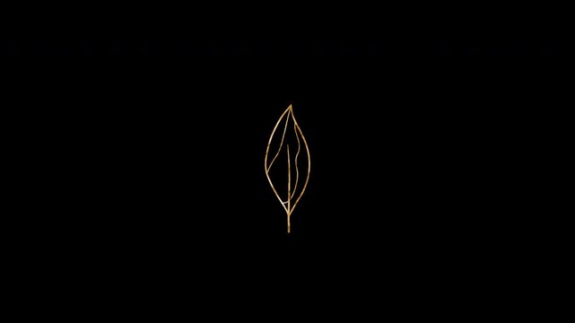 Floral Gold Outline transparent leaf Animation