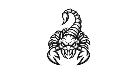 Obraz premium Scorpion Insect Creature Sting Tail.